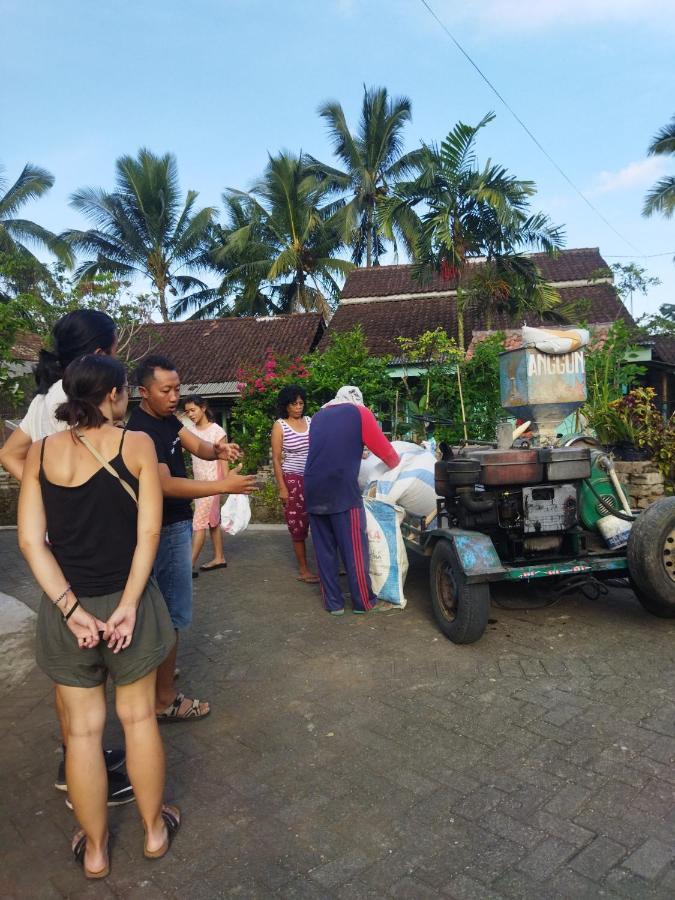 Nio Homestay And Tour Licin Eksteriør billede